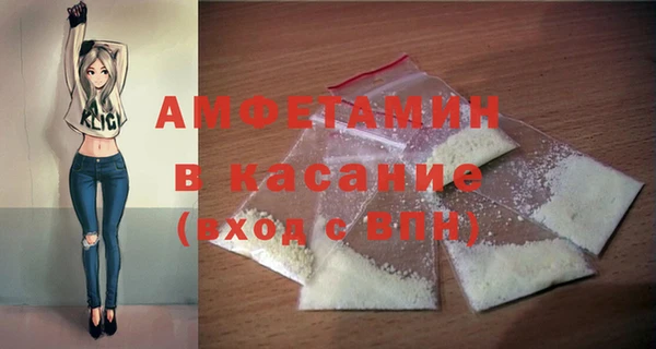 сатива Коряжма