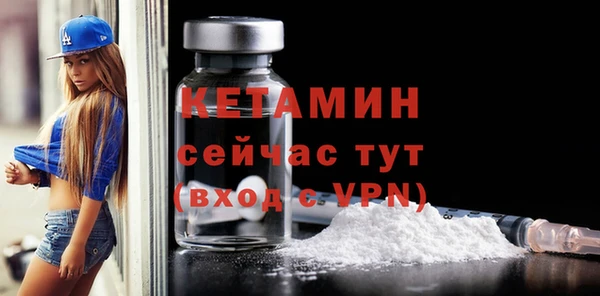 сатива Коряжма