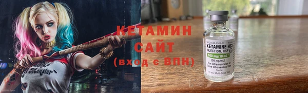 сатива Коряжма