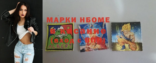 сатива Коряжма