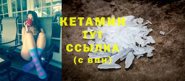 сатива Коряжма