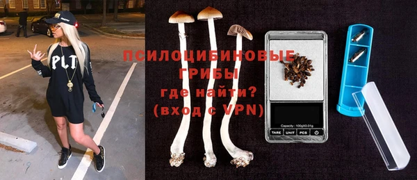сатива Коряжма