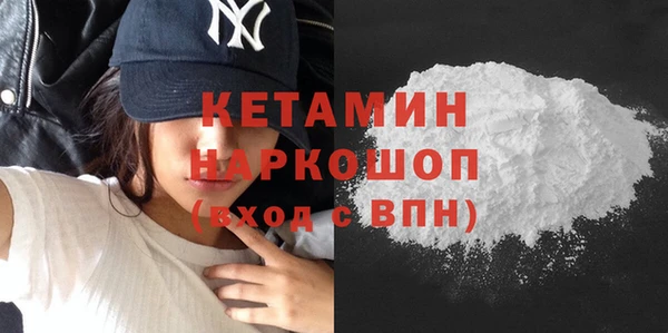 сатива Коряжма