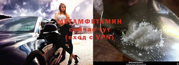 сатива Коряжма