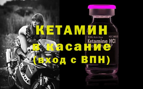 сатива Коряжма