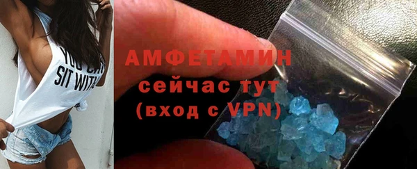 сатива Коряжма