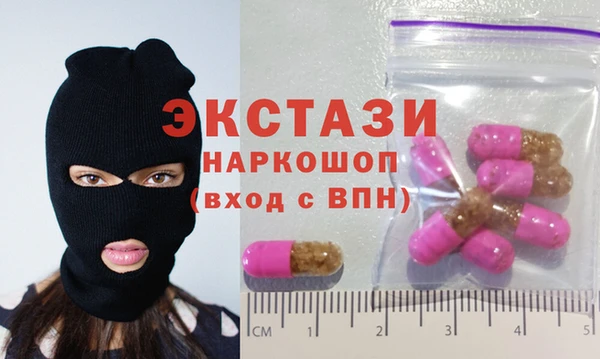 сатива Коряжма